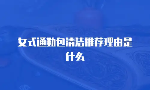 女式通勤包清洁推荐理由是什么