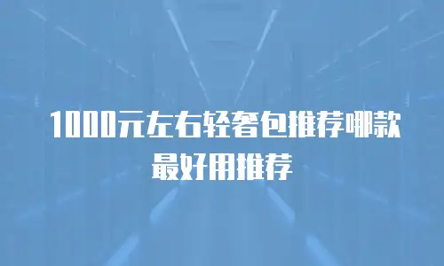 1000元左右轻奢包推荐哪款最好用推荐