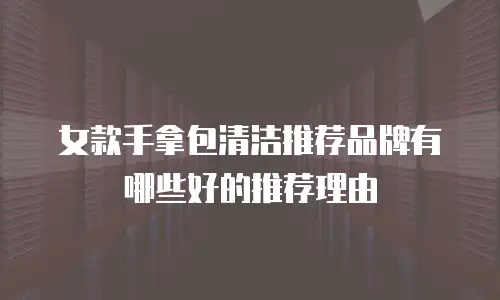 女款手拿包清洁推荐品牌有哪些好的推荐理由