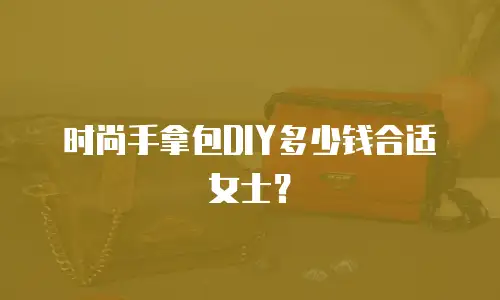 时尚手拿包DIY多少钱合适女士？