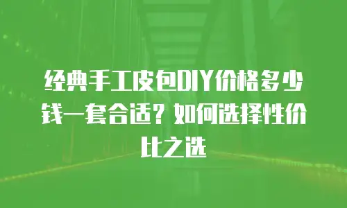 经典手工皮包DIY价格多少钱一套合适？如何选择性价比之选