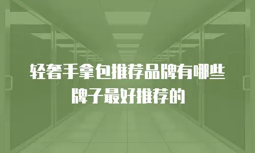 轻奢手拿包推荐品牌有哪些牌子最好推荐的