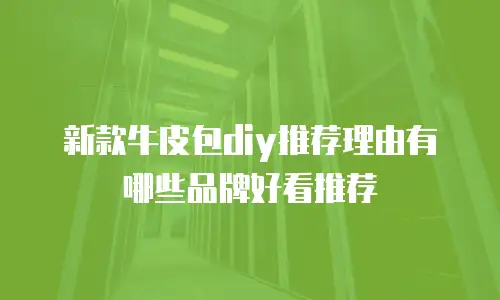新款牛皮包diy推荐理由有哪些品牌好看推荐