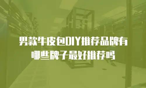 男款牛皮包DIY推荐品牌有哪些牌子最好推荐吗