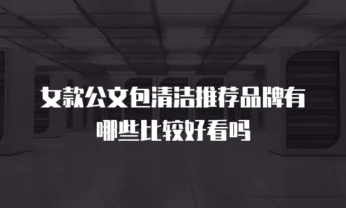 女款公文包清洁推荐品牌有哪些比较好看吗