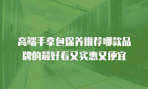 高端手拿包保养推荐哪款品牌的最好看又实惠又便宜