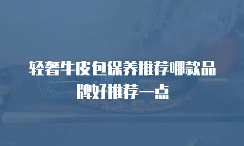 轻奢牛皮包保养推荐哪款品牌好推荐一点