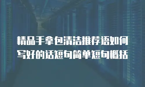精品手拿包清洁推荐语如何写好的话短句简单短句概括