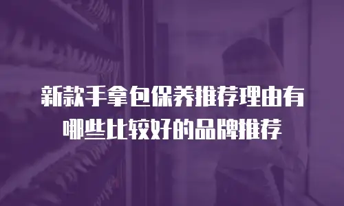 新款手拿包保养推荐理由有哪些比较好的品牌推荐