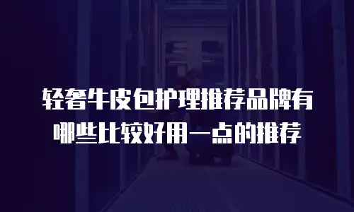 轻奢牛皮包护理推荐品牌有哪些比较好用一点的推荐