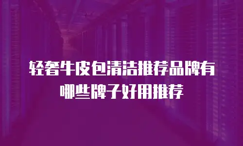轻奢牛皮包清洁推荐品牌有哪些牌子好用推荐