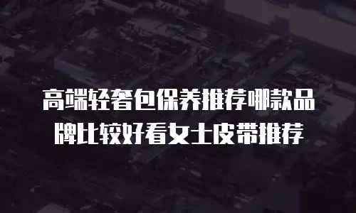 高端轻奢包保养推荐哪款品牌比较好看女士皮带推荐