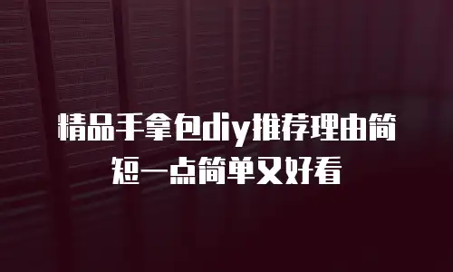 精品手拿包diy推荐理由简短一点简单又好看