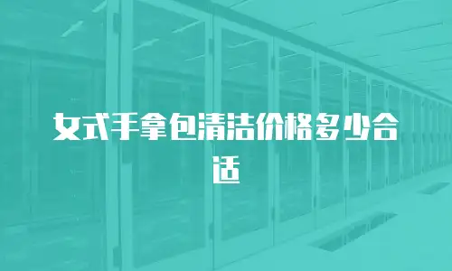 女式手拿包清洁价格多少合适