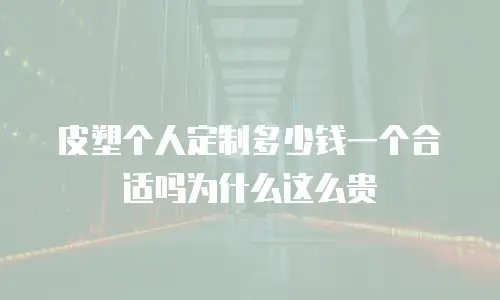 皮塑个人定制多少钱一个合适吗为什么这么贵