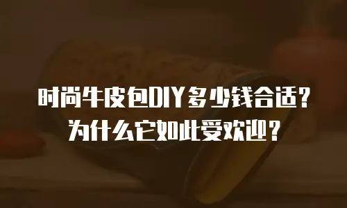 时尚牛皮包DIY多少钱合适？为什么它如此受欢迎？