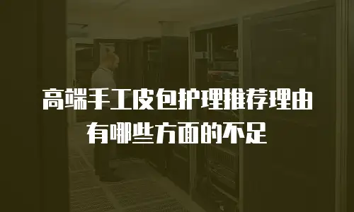 高端手工皮包护理推荐理由有哪些方面的不足