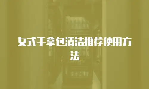 女式手拿包清洁推荐使用方法