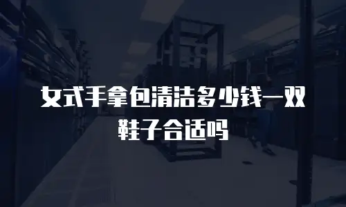 女式手拿包清洁多少钱一双鞋子合适吗