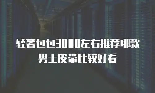 轻奢包包3000左右推荐哪款男士皮带比较好看