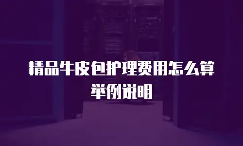 精品牛皮包护理费用怎么算举例说明