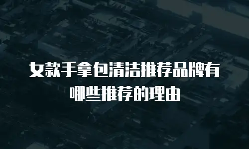 女款手拿包清洁推荐品牌有哪些推荐的理由