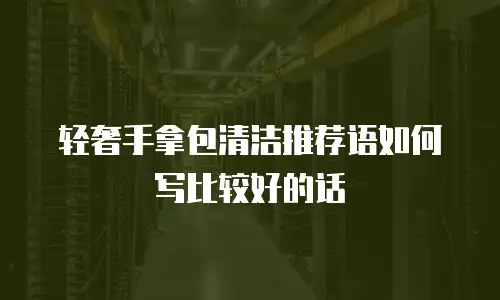 轻奢手拿包清洁推荐语如何写比较好的话