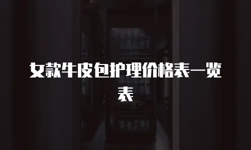 女款牛皮包护理价格表一览表