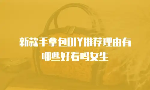 新款手拿包DIY推荐理由有哪些好看吗女生