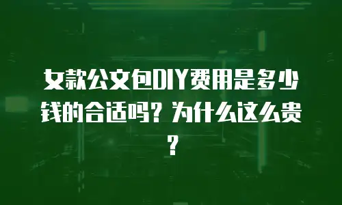 女款公文包DIY费用是多少钱的合适吗？为什么这么贵？