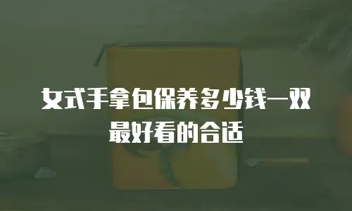 女式手拿包保养多少钱一双最好看的合适