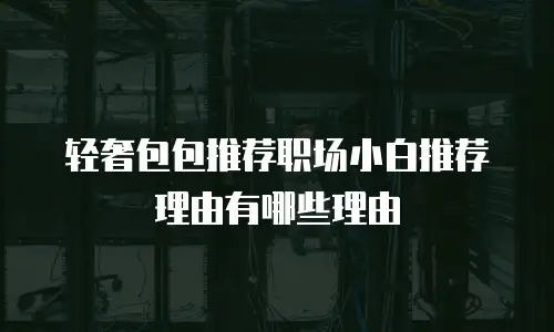 轻奢包包推荐职场小白推荐理由有哪些理由