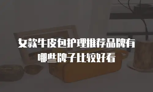 女款牛皮包护理推荐品牌有哪些牌子比较好看