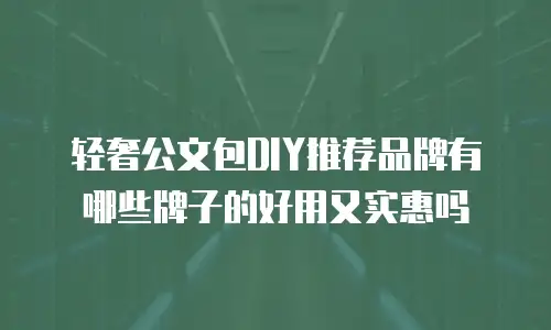 轻奢公文包DIY推荐品牌有哪些牌子的好用又实惠吗