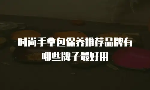 时尚手拿包保养推荐品牌有哪些牌子最好用