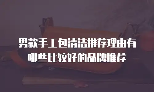 男款手工包清洁推荐理由有哪些比较好的品牌推荐