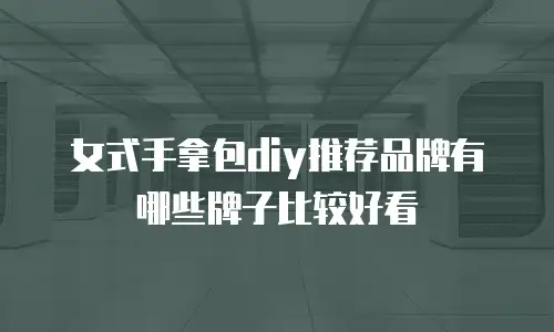 女式手拿包diy推荐品牌有哪些牌子比较好看