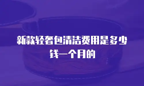 新款轻奢包清洁费用是多少钱一个月的