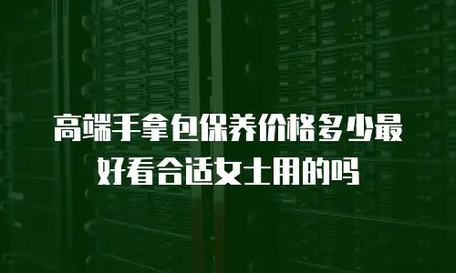 高端手拿包保养价格多少最好看合适女士用的吗