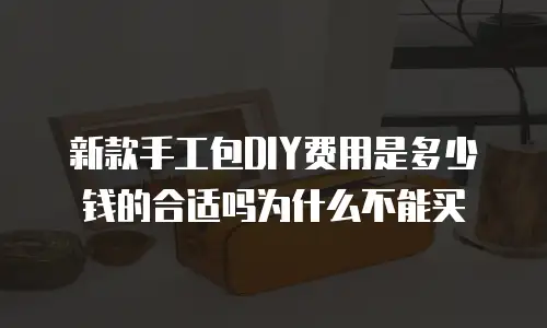 新款手工包DIY费用是多少钱的合适吗为什么不能买