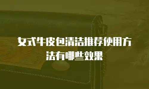 女式牛皮包清洁推荐使用方法有哪些效果