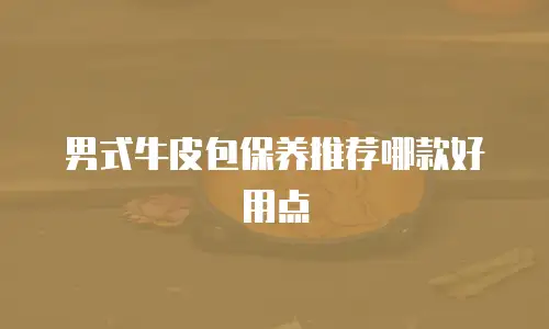男式牛皮包保养推荐哪款好用点