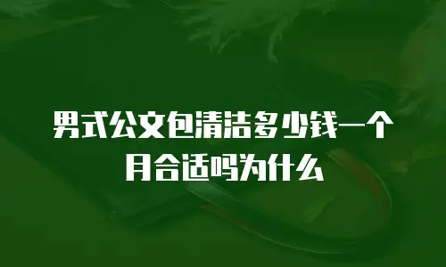 男式公文包清洁多少钱一个月合适吗为什么