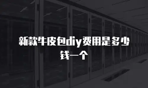 新款牛皮包diy费用是多少钱一个
