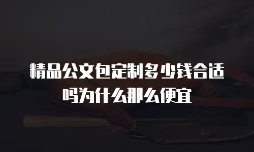 精品公文包定制多少钱合适吗为什么那么便宜