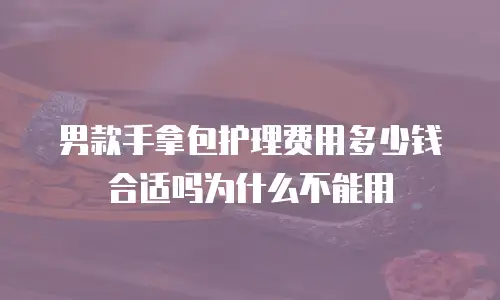 男款手拿包护理费用多少钱合适吗为什么不能用