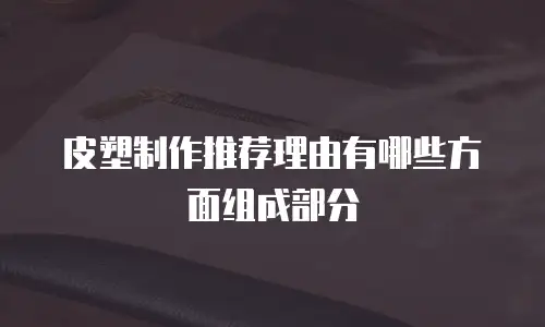 皮塑制作推荐理由有哪些方面组成部分