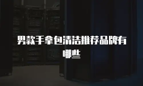 男款手拿包清洁推荐品牌有哪些