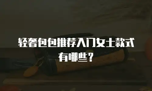 轻奢包包推荐入门女士款式有哪些？