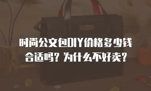 时尚公文包DIY价格多少钱合适吗？为什么不好卖？